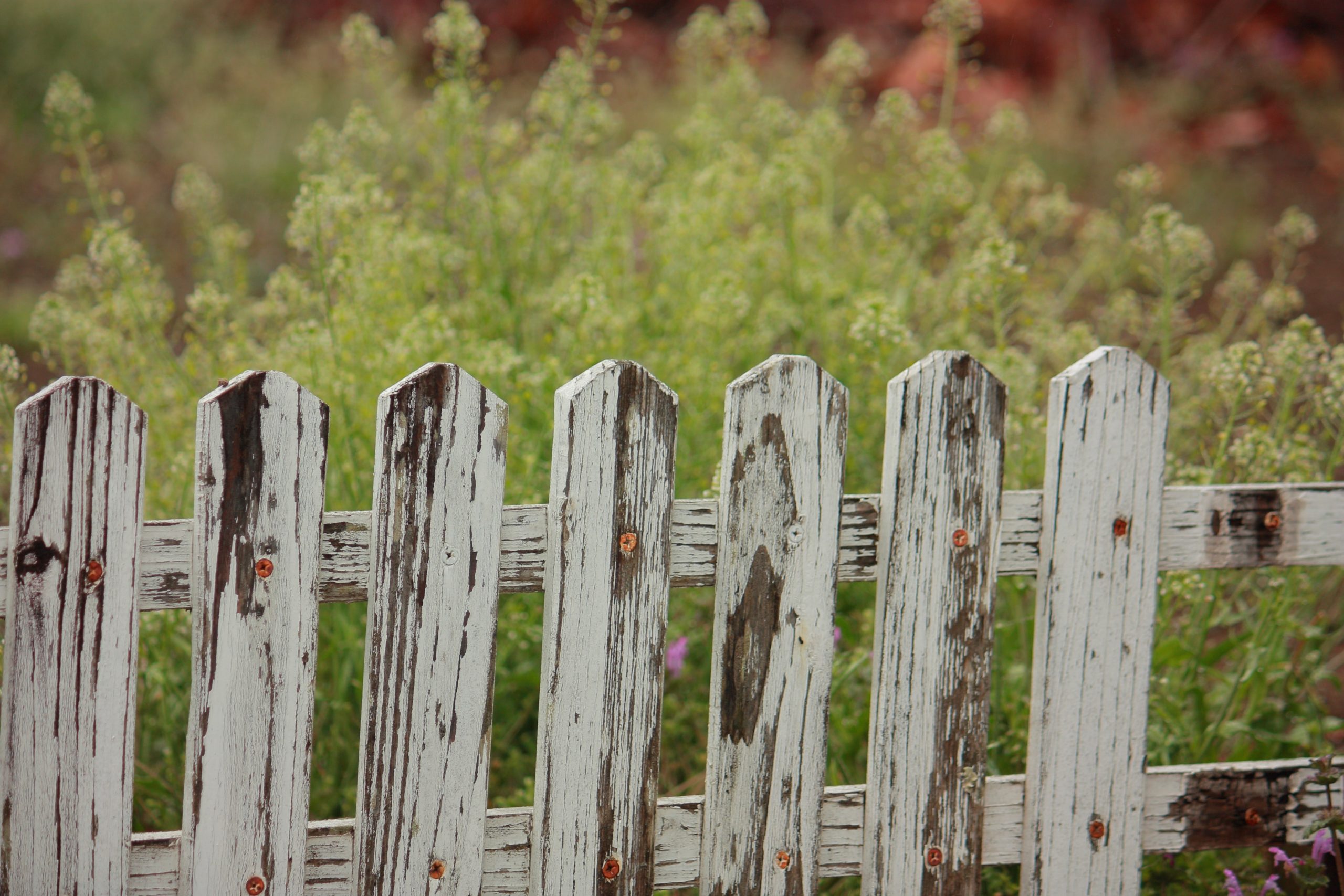 Anger The Boy And The Fence